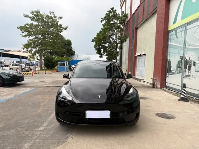 Tesla Model Y — Фото автомобиля 2