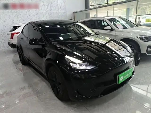 Tesla Model Y — Фото автомобиля 3