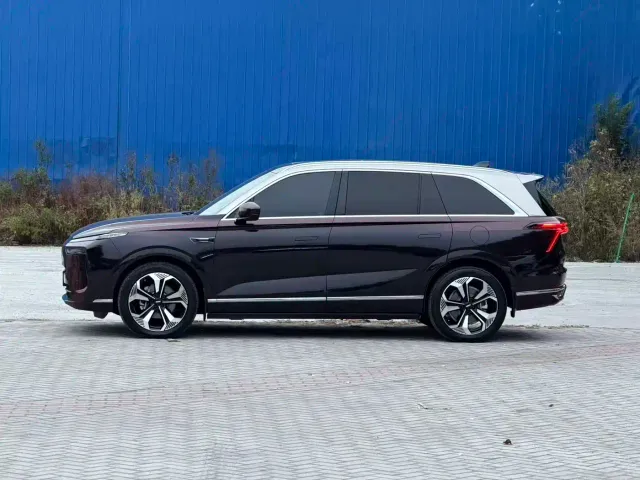 Wey Lanshan — Фото автомобиля 6