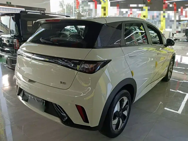 BYD Dolphin — Фото автомобиля 6