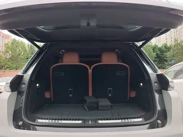 Li Auto L8 — Фото автомобиля 18