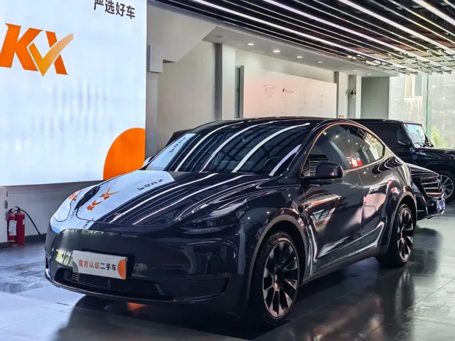 Tesla Model Y — Фото автомобиля 2