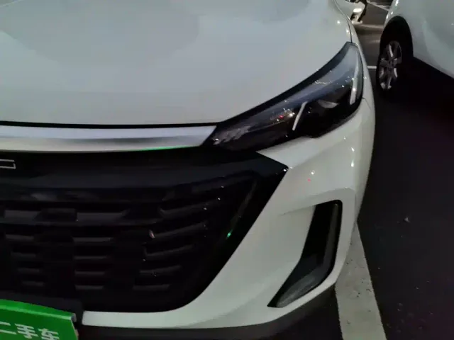 BAIC X3 — Фото автомобиля 23