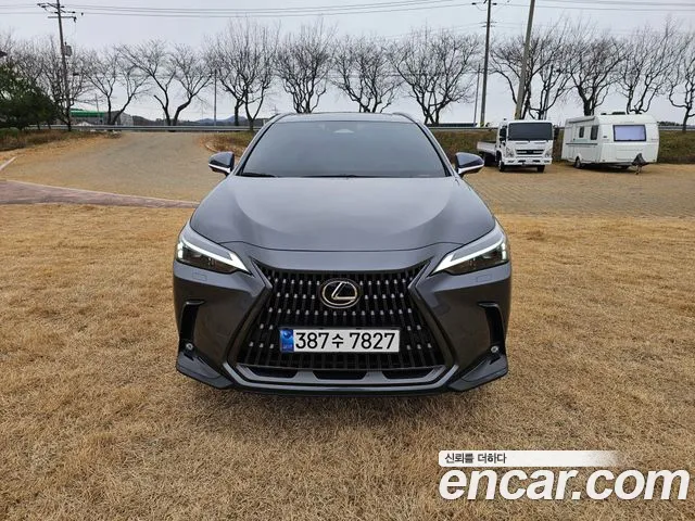 Lexus NX — Фото автомобиля 2