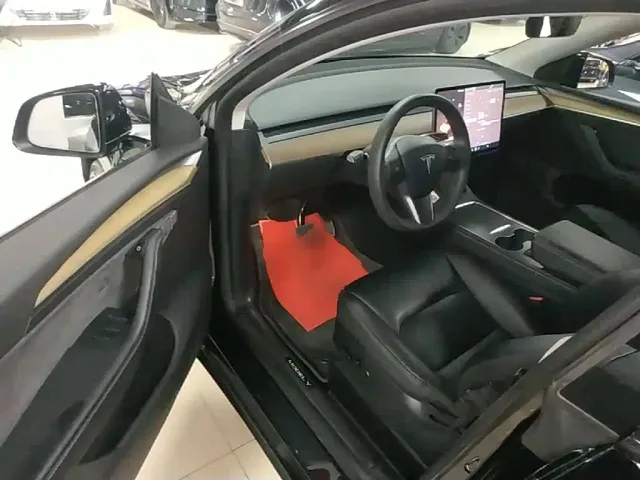 Tesla Model Y — Фото автомобиля 15