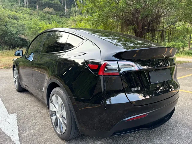Tesla Model Y — Фото автомобиля 7