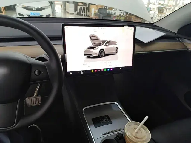 Tesla Model Y — Фото автомобиля 9