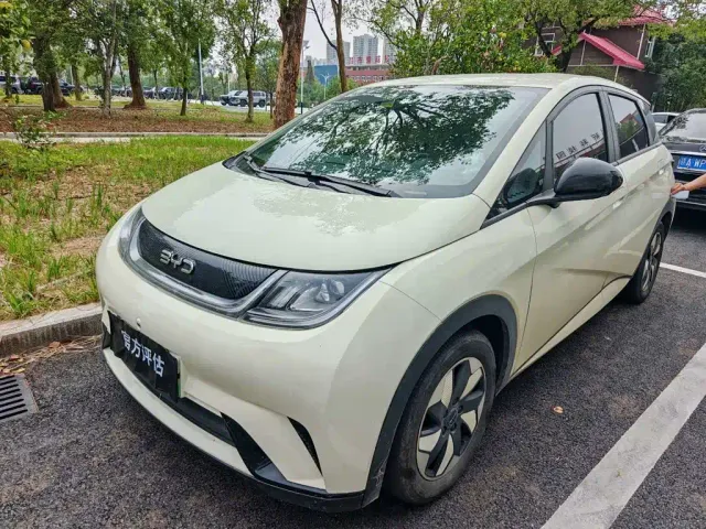 Фотография автомобиля — BYD Dolphin