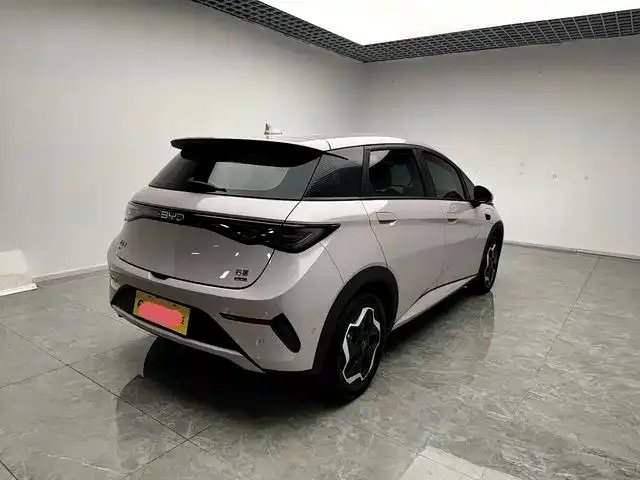BYD Dolphin — Фото автомобиля 13