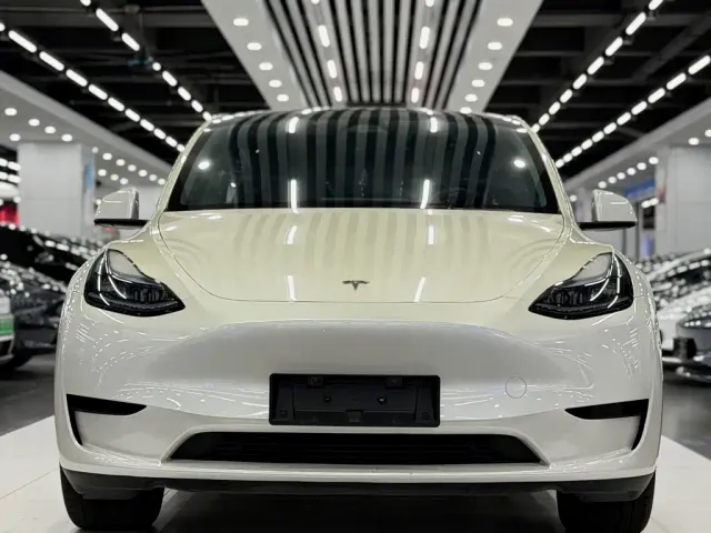 Tesla Model Y — Фото автомобиля 2
