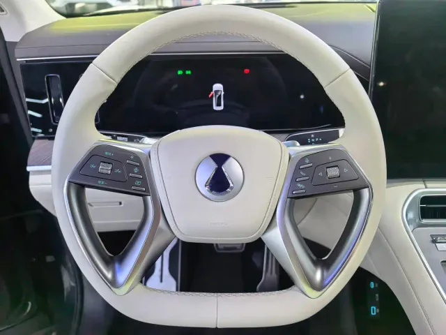 Denza Denza N9 2025 Flagship Model — Фото автомобиля 6