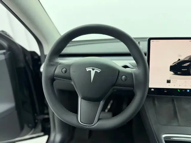 Tesla Model Y — Фото автомобиля 3