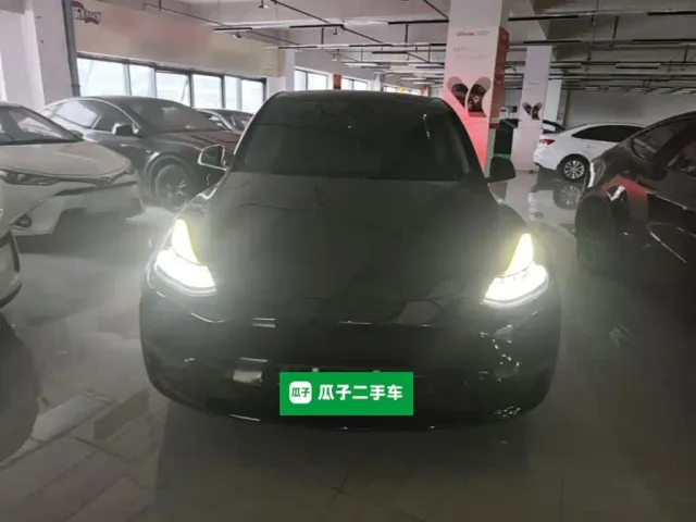 Tesla Model Y — Фото автомобиля 2