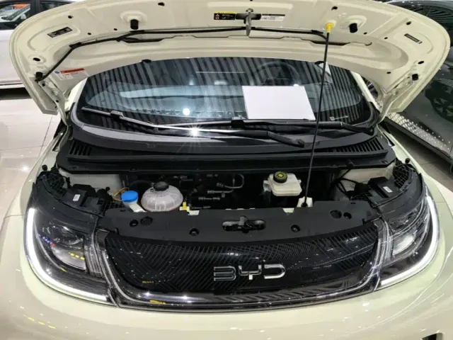 BYD Dolphin — Фото автомобиля 19