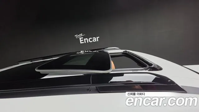Hyundai Santa Fe MX5 — Фото автомобиля 18