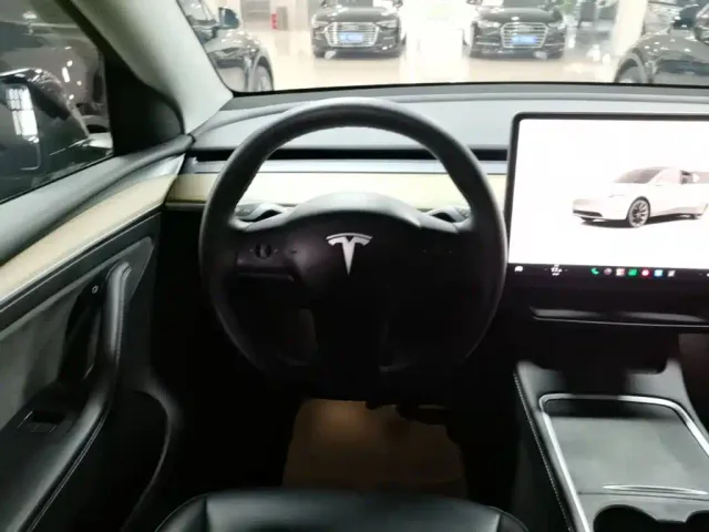 Tesla Model Y — Фото автомобиля 10