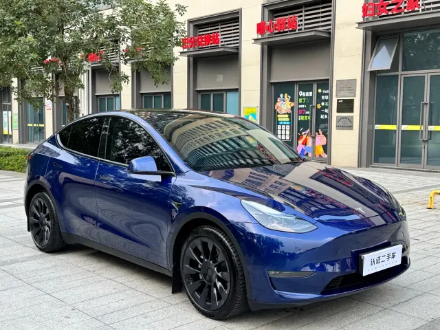 Tesla Model Y — Фото автомобиля 3