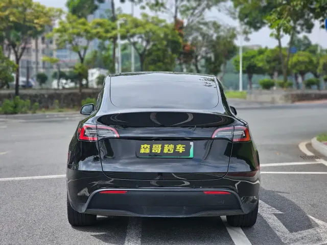 Tesla Model Y — Фото автомобиля 5