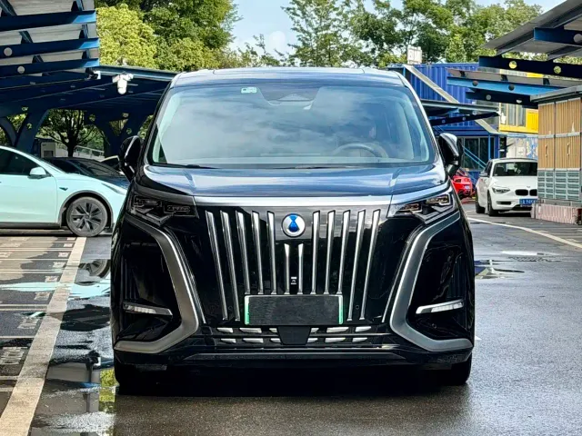Denza D9 — Фото автомобиля 2