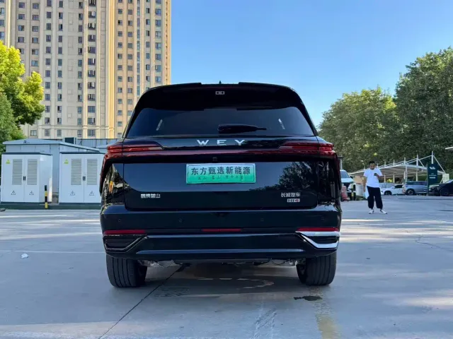 Wey Lanshan — Фото автомобиля 14