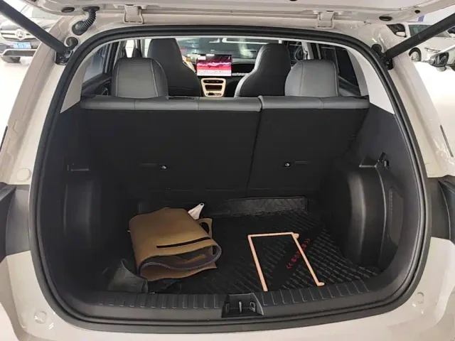 Geely Starry Wish — Фото автомобиля 18