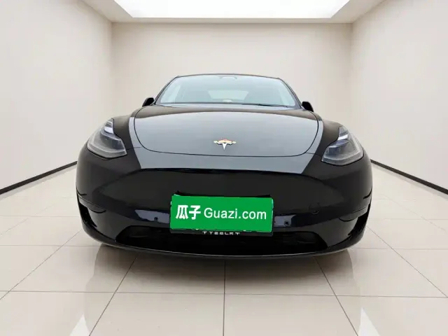 Tesla Model Y — Фото автомобиля 2