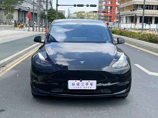 Tesla Model Y — Фото автомобиля 2