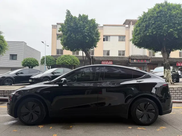Tesla Model Y — Фото автомобиля 4
