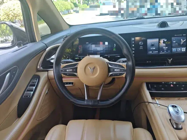Voyah Auto Voyah Dreamer 2022 Low Carbon Edition Home — Фото автомобиля 6