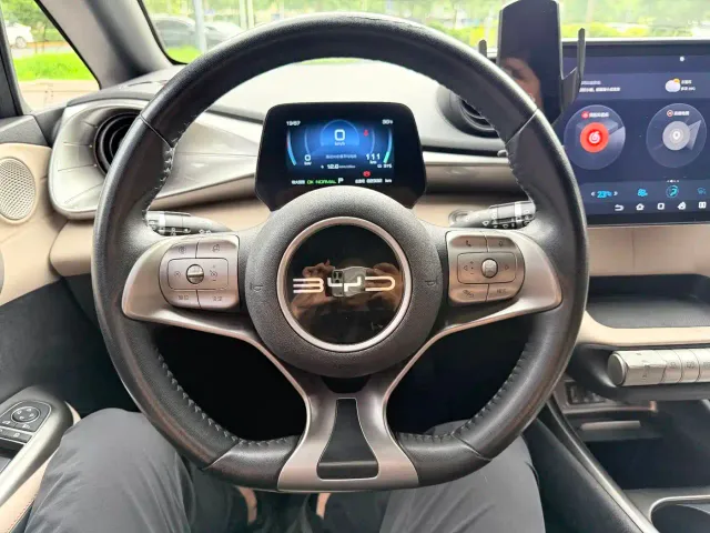 BYD Dolphin — Фото автомобиля 11