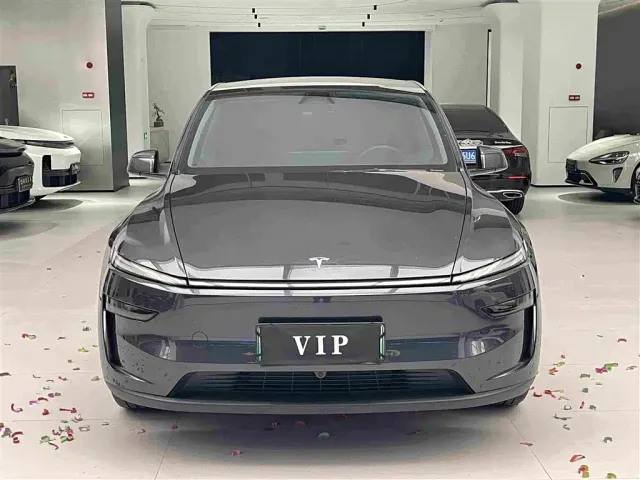 Tesla Model Y — Фото автомобиля 2