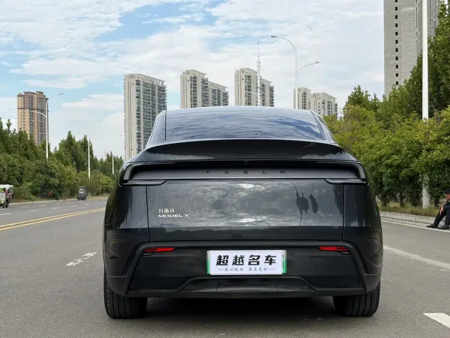 Tesla Model Y — Фото автомобиля 16