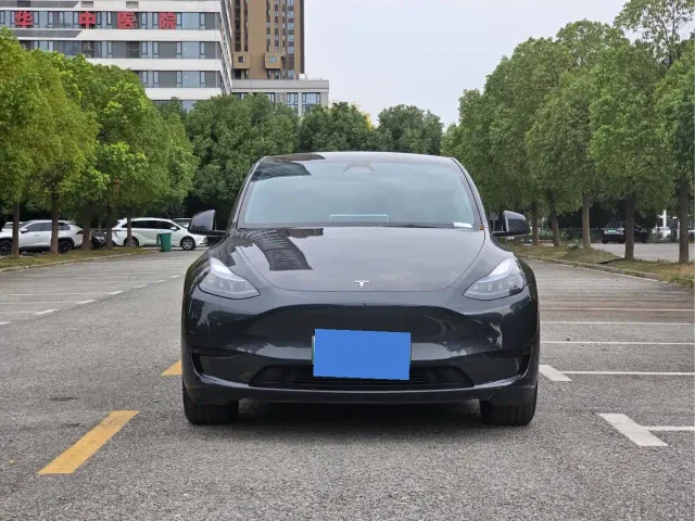 Tesla Model Y — Фото автомобиля 2
