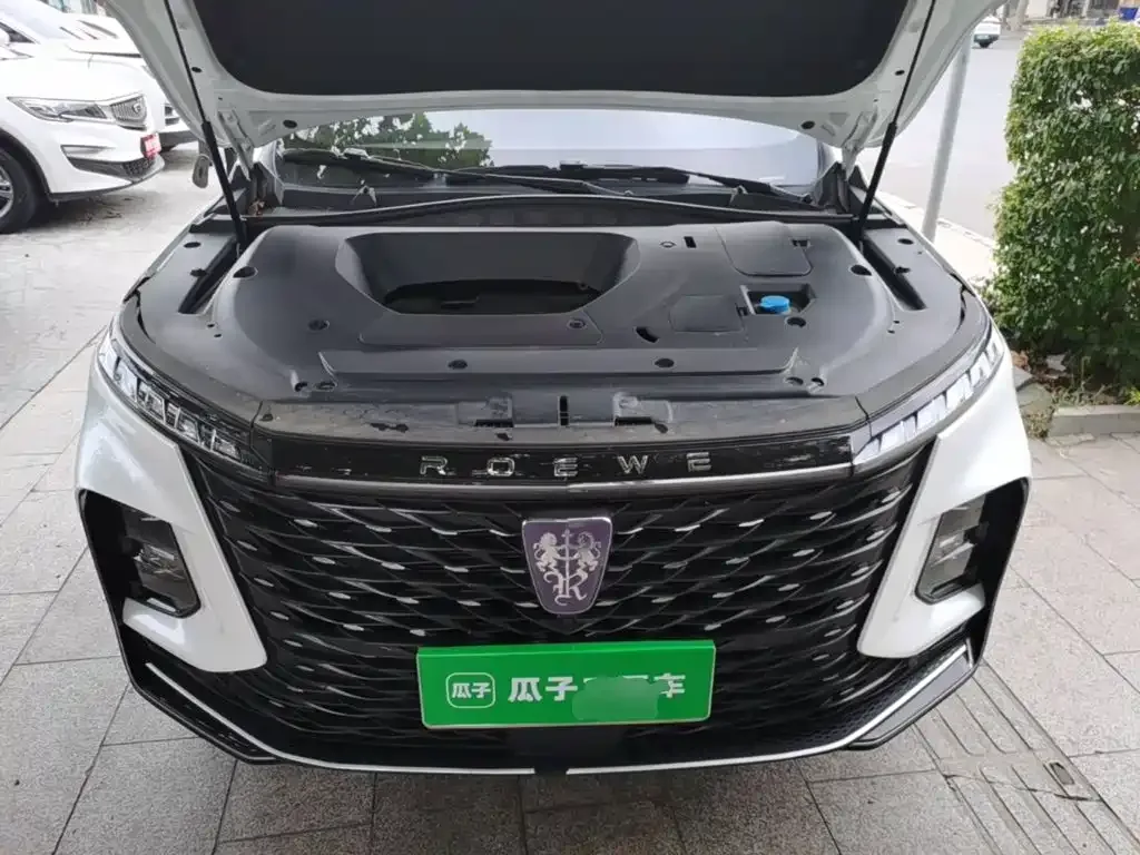 Roewe Roewe RX5 MAX 2022 1.5T Auto Promising Luxury Edition — Фото автомобиля 15