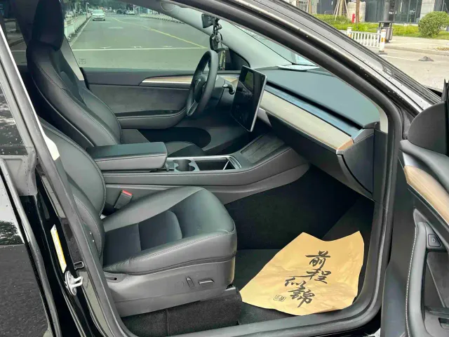 Tesla Model Y — Фото автомобиля 10