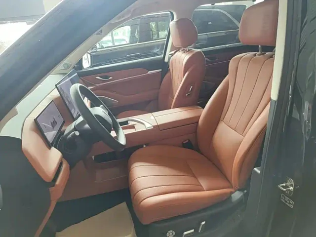 Wey Lanshan — Фото автомобиля 14