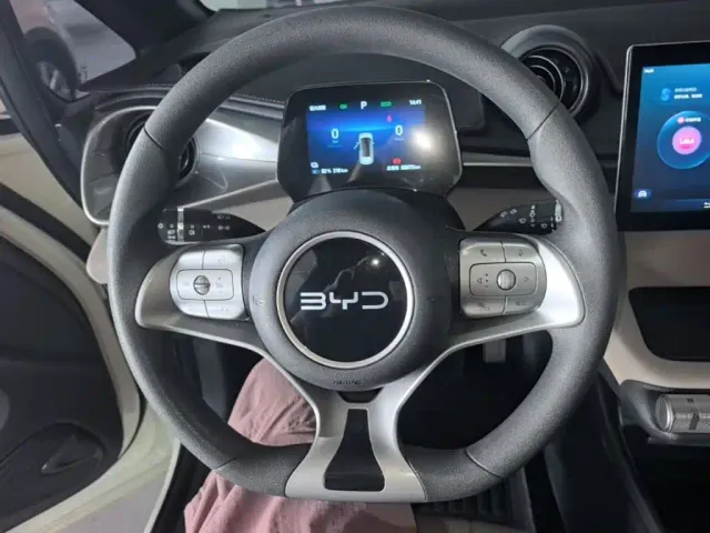 BYD Dolphin — Фото автомобиля 10