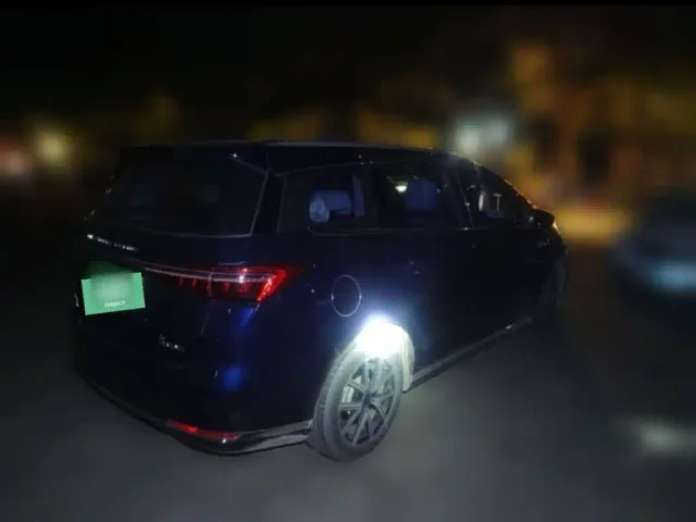 BYD Song MAX — Фото автомобиля 25