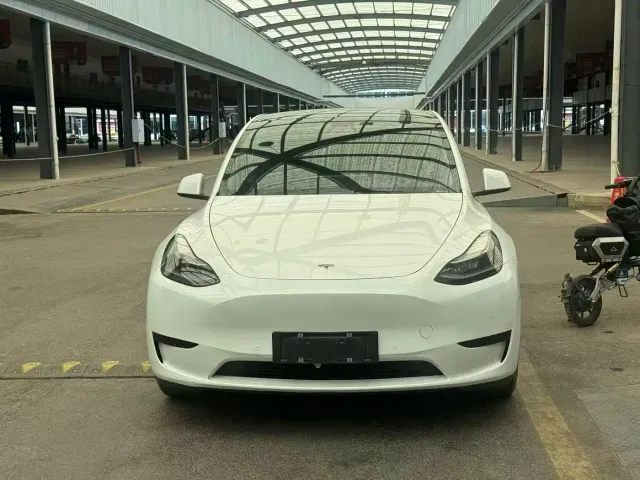 Tesla Model Y — Фото автомобиля 2
