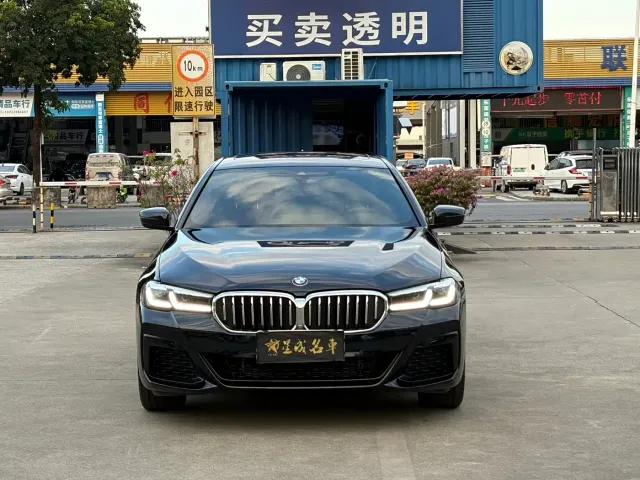 BMW 5 Series — Фото автомобиля 2