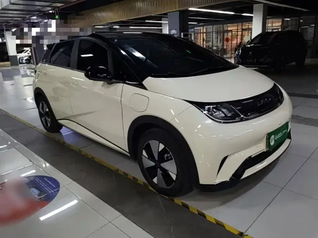 BYD Dolphin — Фото автомобиля 3