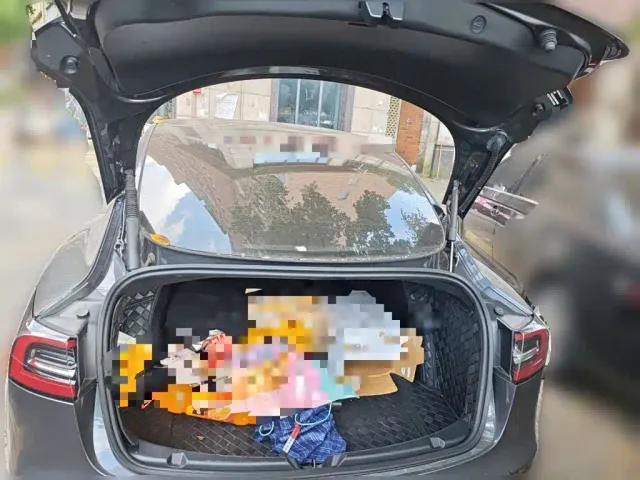 Tesla Model 3 — Фото автомобиля 9