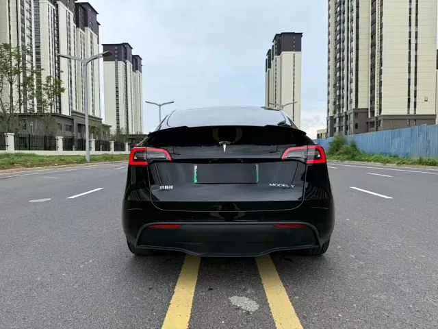 Tesla Model Y — Фото автомобиля 10