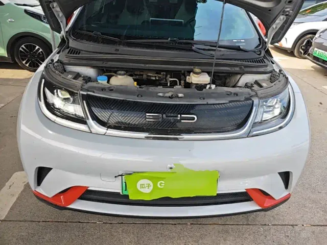 BYD Dolphin — Фото автомобиля 19