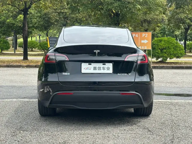 Tesla Model Y — Фото автомобиля 5