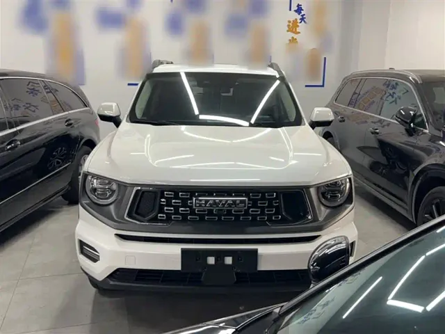 Haval Big Dog — Фото автомобиля 12