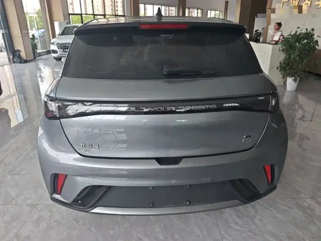BYD Dolphin — Фото автомобиля 5