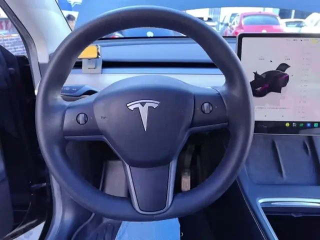 Tesla Model Y — Фото автомобиля 10