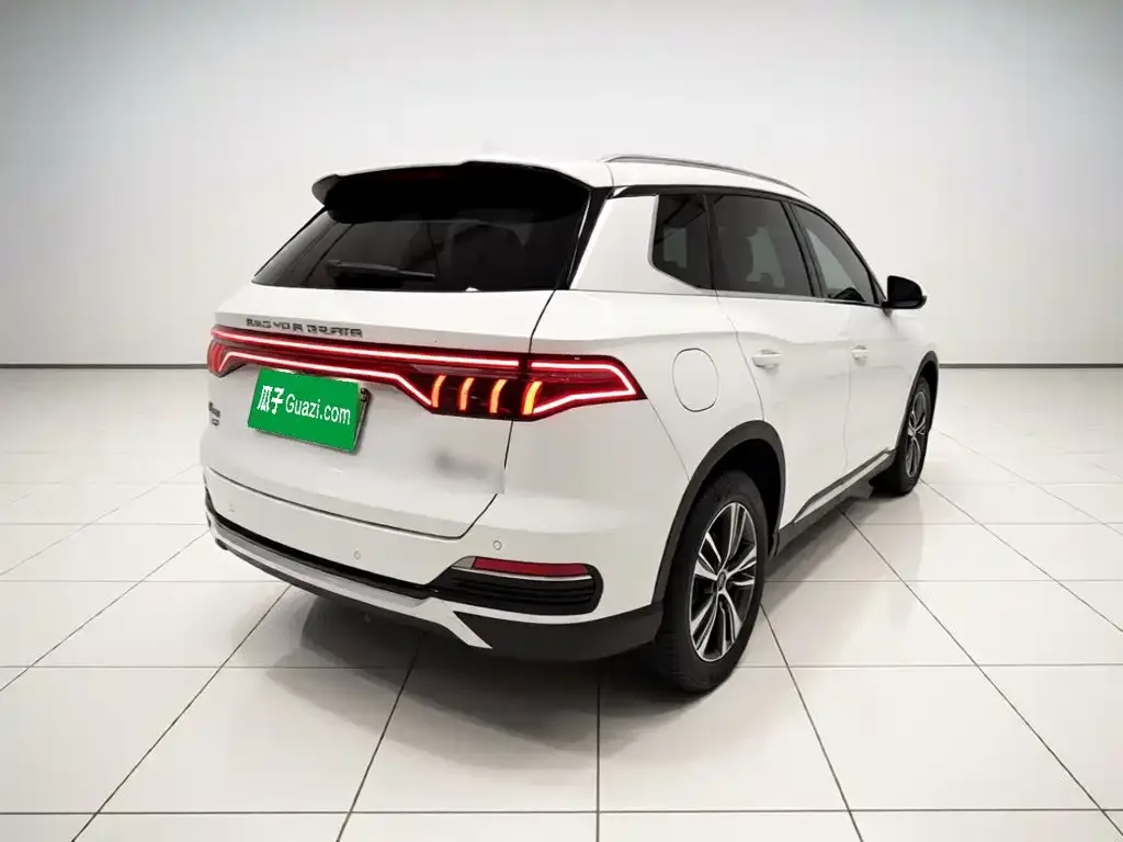BYD Song Pro New Energy 2022 DM-i 51km Premium — Фото автомобиля 6