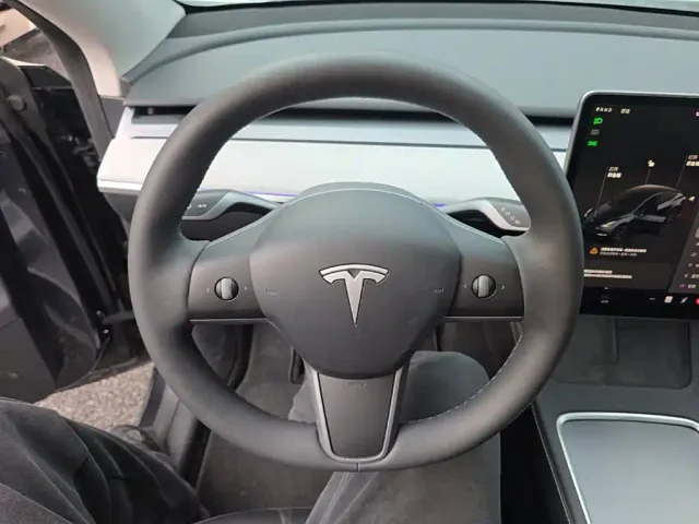 Tesla Model Y — Фото автомобиля 10